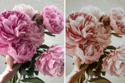 Mobile Lightroom Preset Frappe, an Action Add-On by Victoria Bee Presets (Thumbnail 10 of 10)