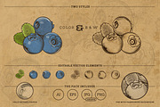 Vintage Fruits and Vegetables, an Object Graphic by ConceptCafe (Thumbnail 2 of 7)