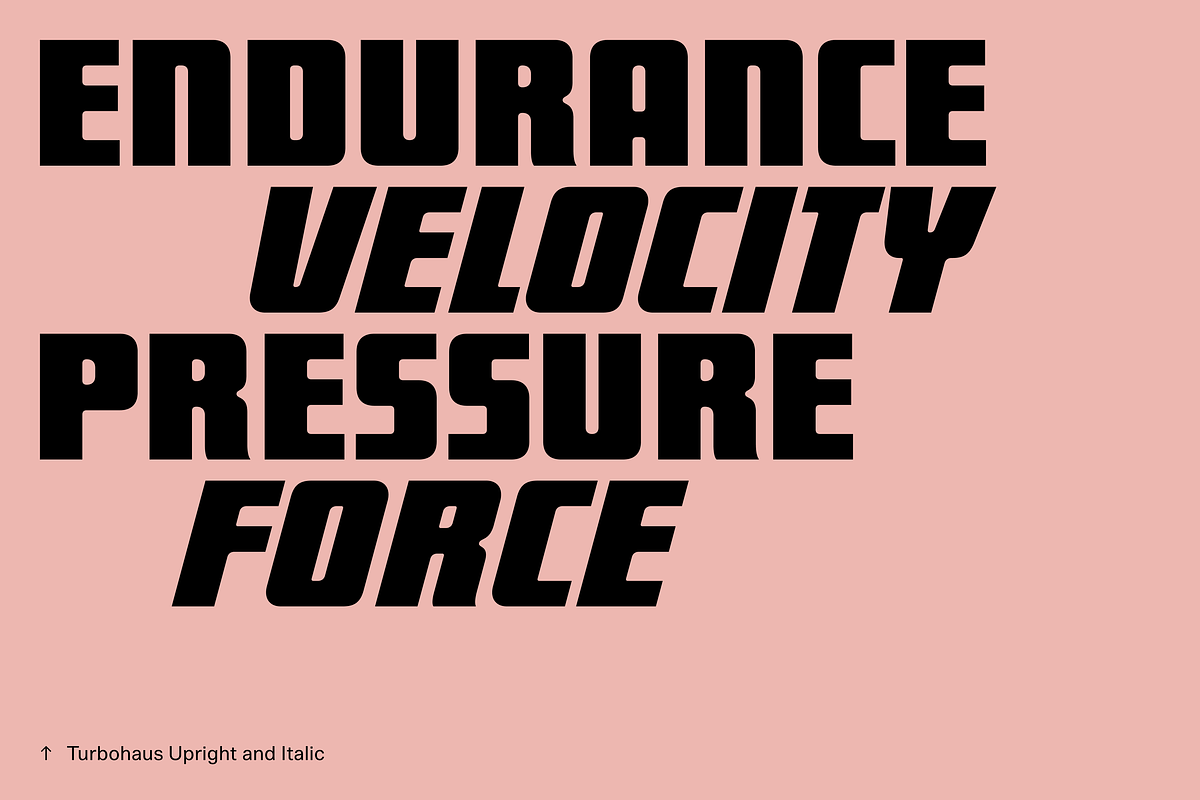 Turbohaus, a Sans Serif Font by Nameless Type Foundry (Photo 5 of 10)