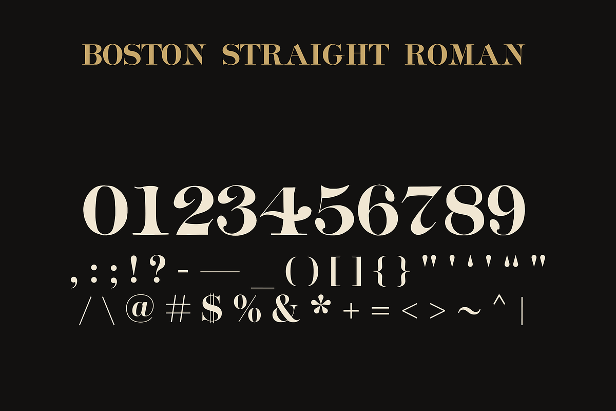 Boston Straight Roman – Display Font, a Serif Font by Lilithcollageart (Photo 15 of 20)