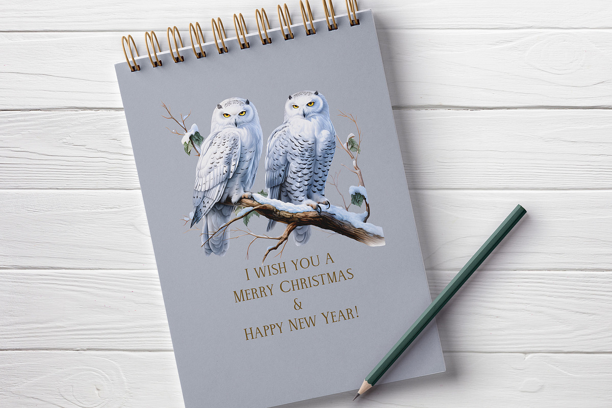 Winter Owl Garden, a Decorative Illustration by Vasmila (Photo 9 of 9)