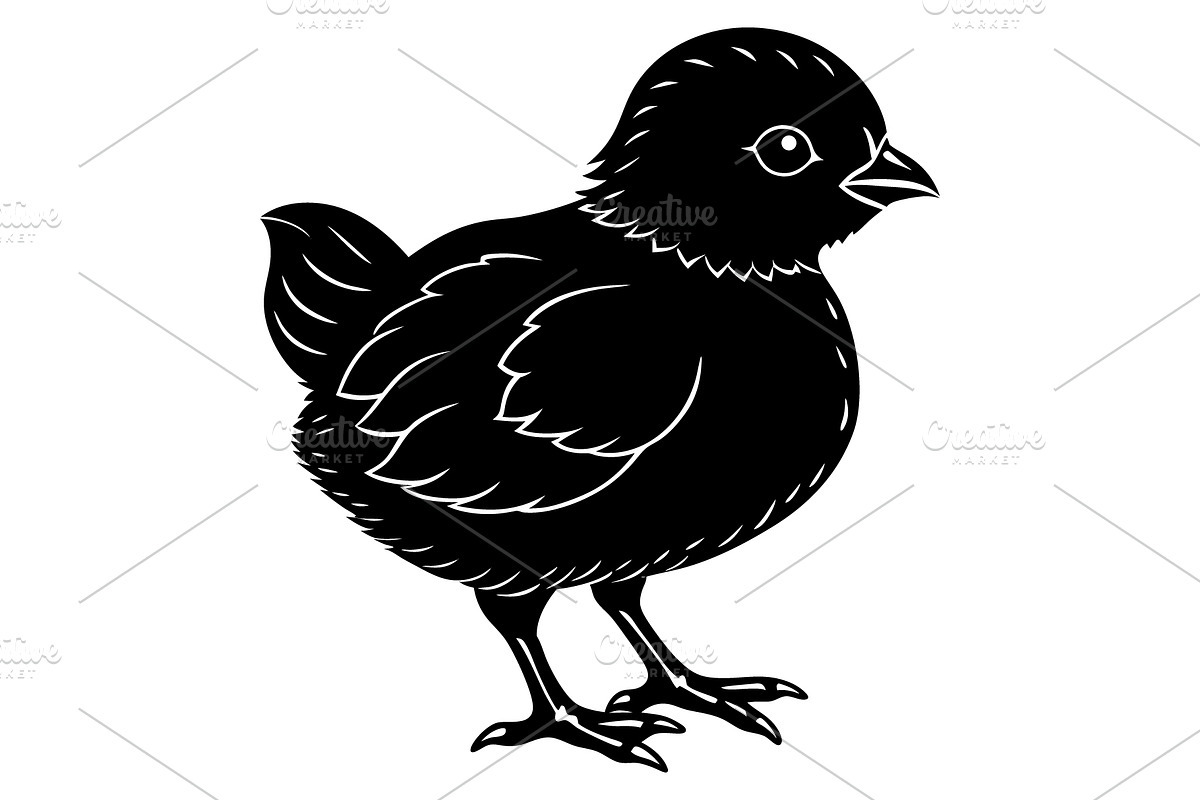 Baby chick, an Illustration by Mark1987