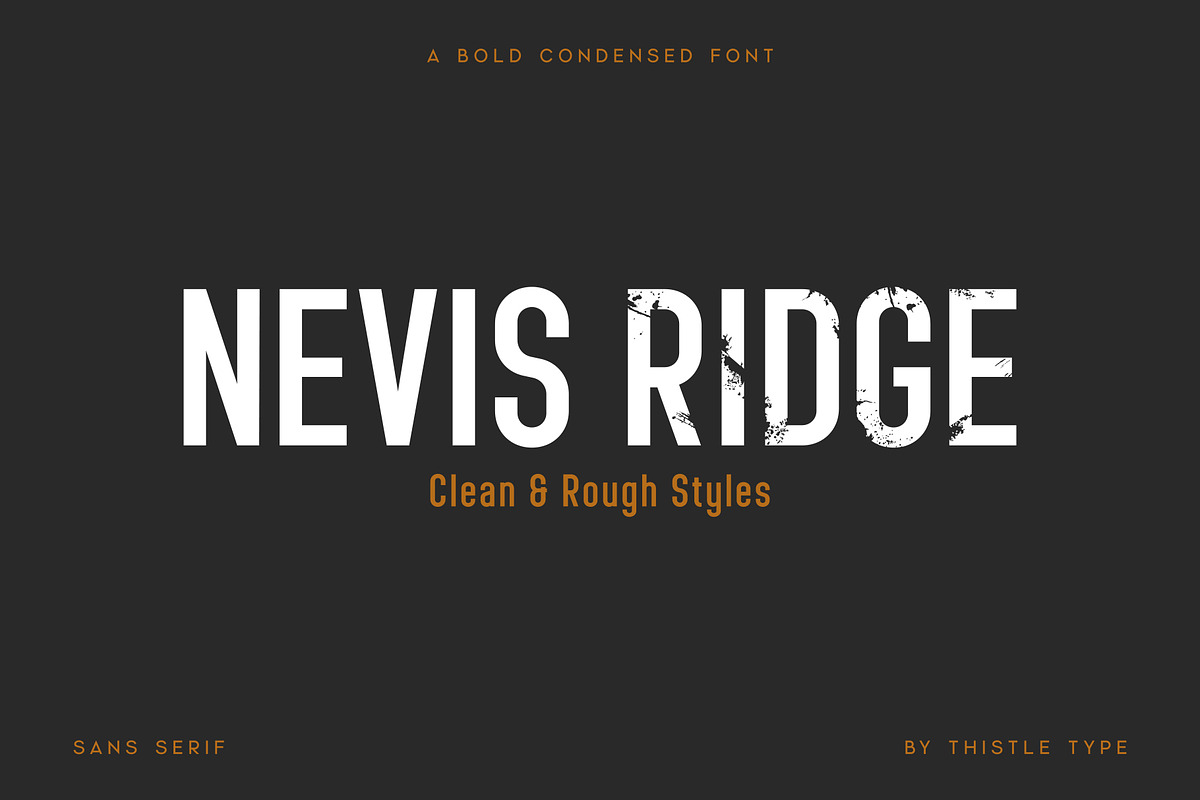 Nevis Ridge - Condensed Display Font, a Sans Serif Font by Thistle Type (Photo 1 of 9)