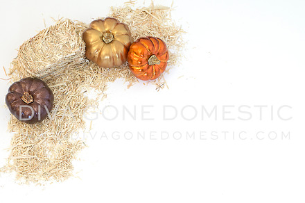 Styled Photo - Pumpkin and Hay