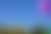 50 Blurred Backgrounds, a Background Graphic by Jacob deCastro (Thumbnail 2 of 5)