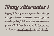 Hadyan, a Script Font by ahweproject (Thumbnail 12 of 15)