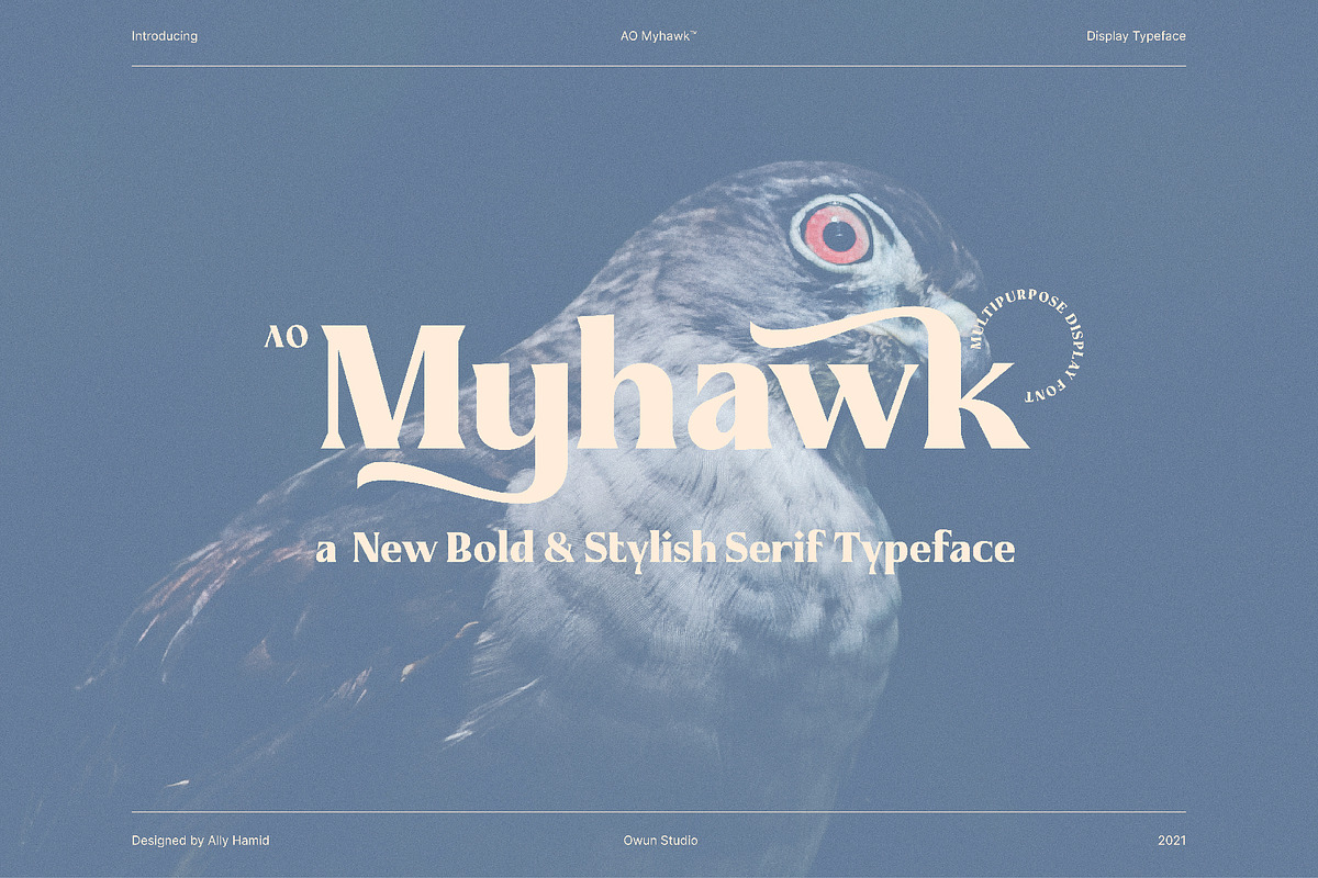 AO Myhawk - Display Typeface, a Font by OwunStudio (Photo 1 of 15)