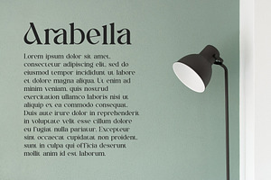 Morika Elegant Serif Font