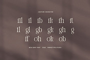 Gillgh Elegant Serif Font, a Serif Font by Perfectype (Thumbnail 8 of 8)