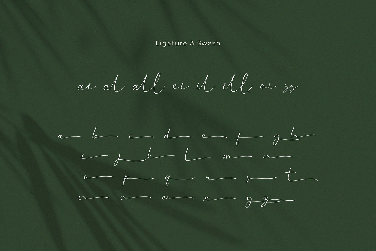 Romantic Session – Elegant Signature, a Handwritten Font by BrandSemut (Photo 11 of 11)