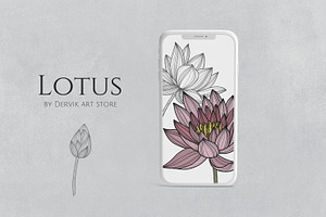 Lotus Floral Collection Vector SVG