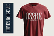 Broswick Bold Tall Display Serif, a Serif Font by timelesstype.co (Thumbnail 10 of 20)