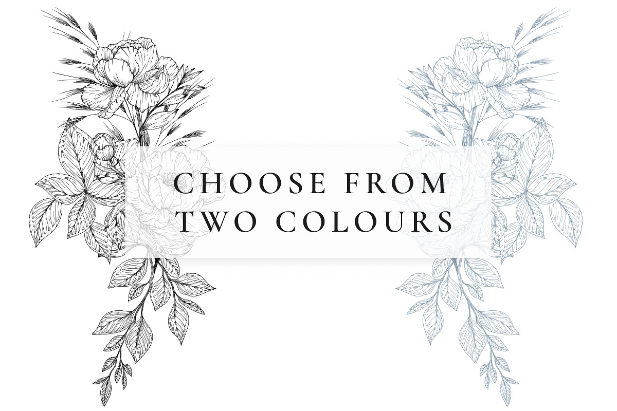 Line Art Floral Clipart, a Decorative Illustration by AW Studios (Photo 6 of 11)