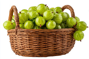 Fresh Green Gooseberries in Brown Wi, a Photo by Pixeness Studio