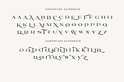 Romla - Elegant and Classy, a Serif Font by HansCo Studio (Thumbnail 12 of 13)