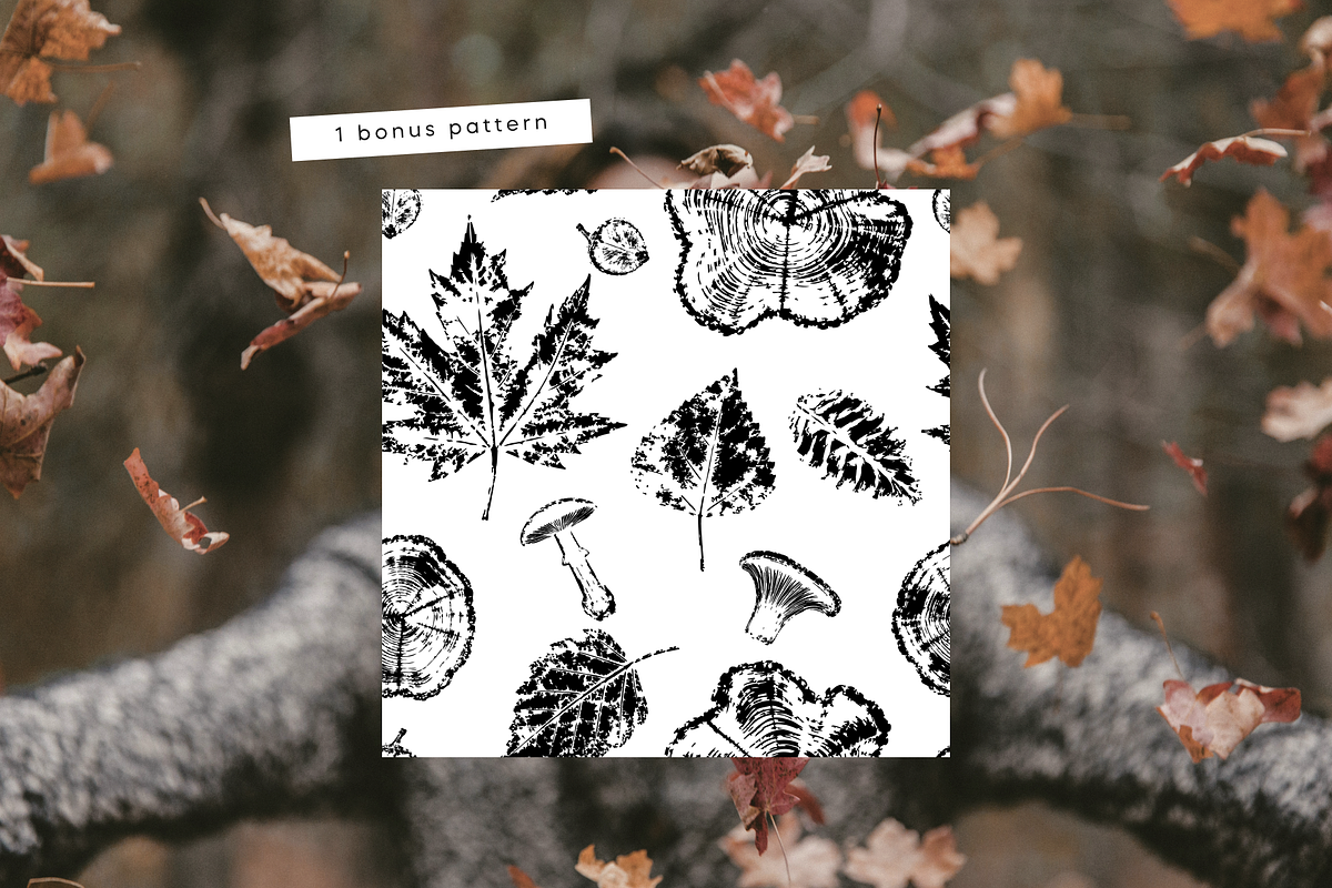 Autumn Forest Imprints | Vector Pack, an Object Illustration by Nutalin Art (Photo 10 of 13)