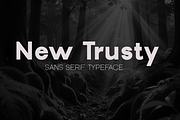 The Essential Font Collection, a Sans Serif Font by groens (Thumbnail 16 of 19)