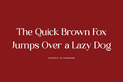 Featkiss - Modern Stylish, a Serif Font by RockboyStd (Thumbnail 7 of 12)