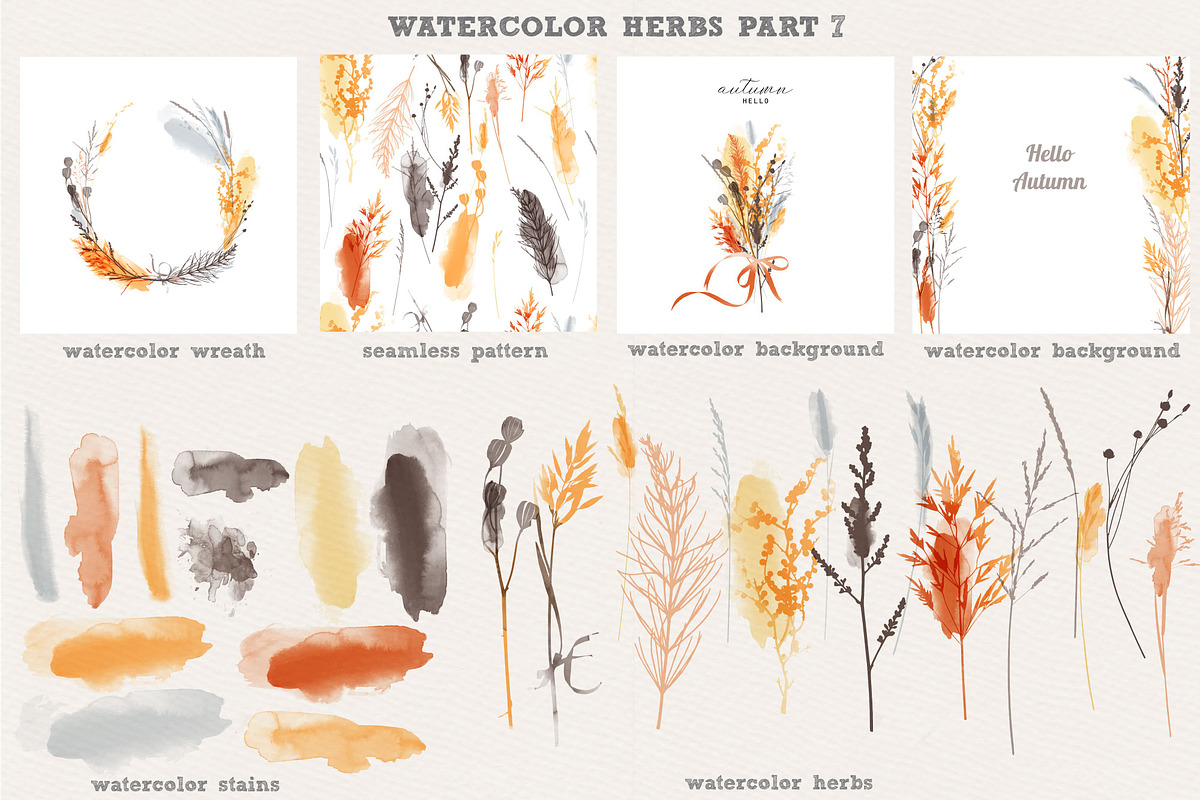 Watercolor herbs collection, a Decorative Illustration by Tatiana Davidova (Photo 8 of 8)