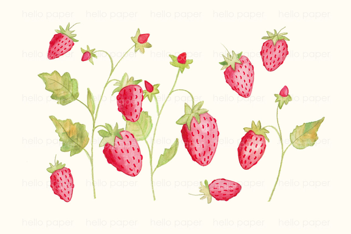 strawberries, an Illustration by helloPAPER (Photo 2 of 2)