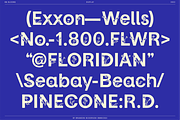 BN Blooms, a Sans Serif Font by Bnick (Thumbnail 13 of 17)