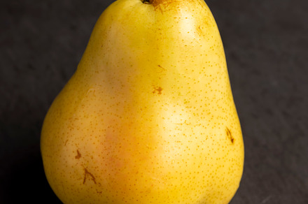 ripe green and yellow pear on a board, a Photo by MyPhotos