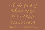 Adorie Halfo - Rustic Simple Script, a Script Font by HypeWorksCo (Thumbnail 15 of 15)