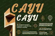 Cayu - Refined Modern Serif, a Serif Font by Astuti Studio (Thumbnail 10 of 23)