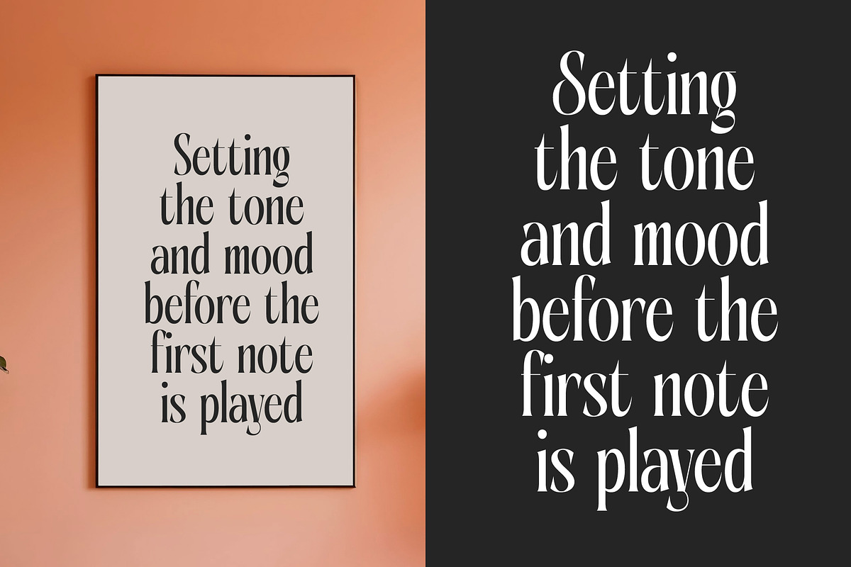 Aligner Tall Modern Serif Display, a Serif Font by timelesstype.co (Photo 8 of 20)