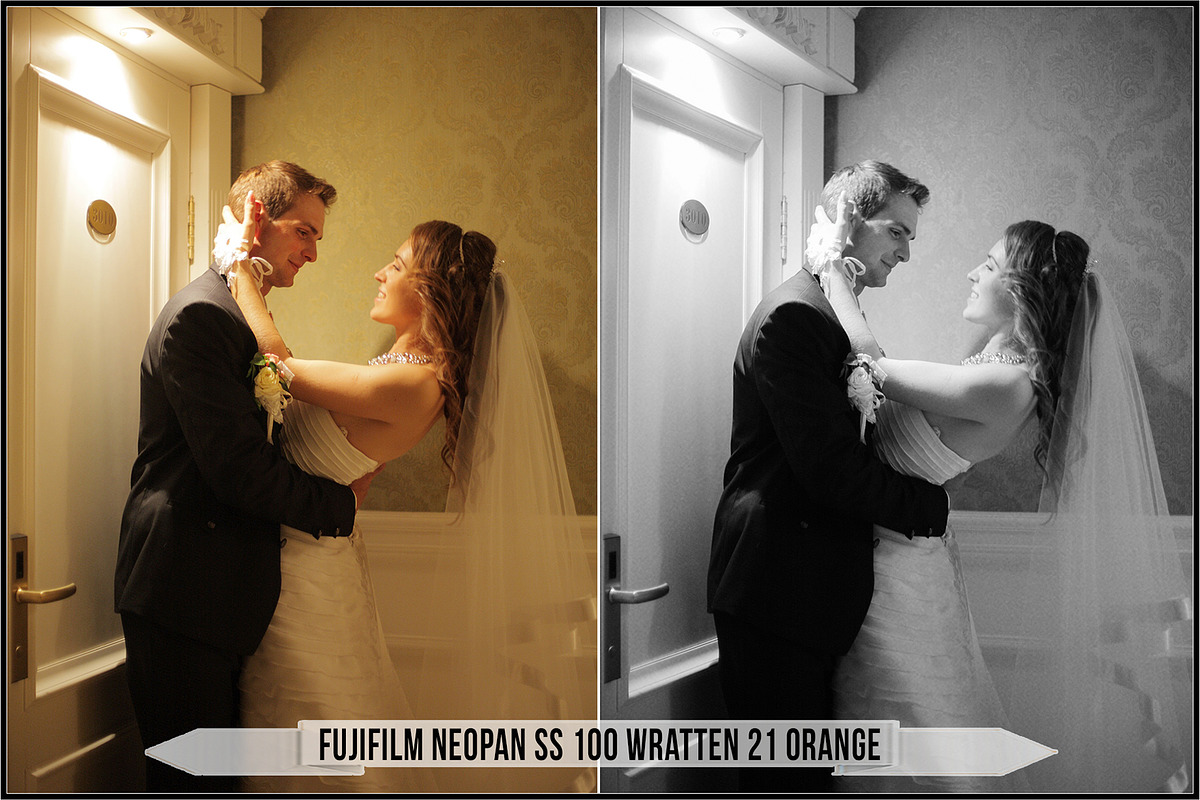 Fujifilm Black and White Film LUTs, a Plug-in Add-On by Raztrend (Photo 12 of 30)