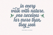 Monthly Activity Script, a Script Font by Letterhend Studio (Thumbnail 4 of 11)