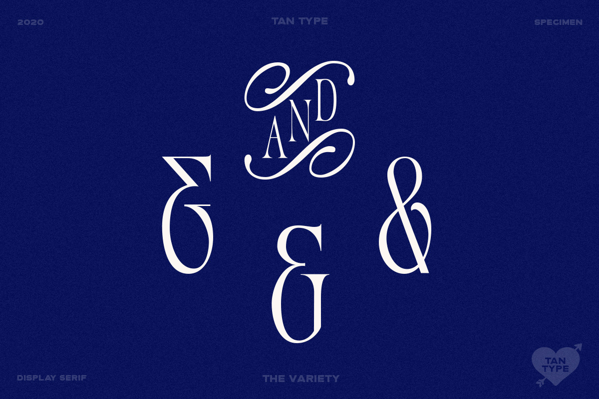 TAN - Variety, a Serif Font by TanType (Photo 26 of 26)