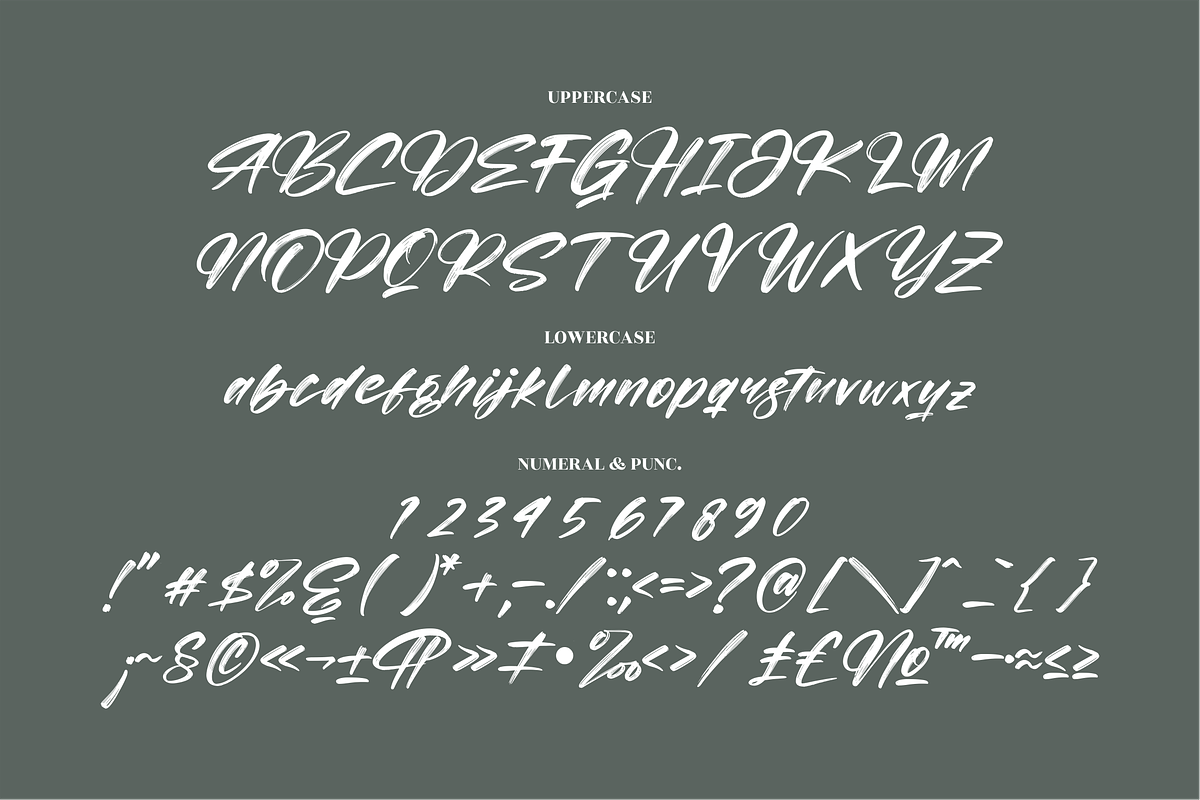 Roughton Bogatha Modern Brush Font, a Script Font by Letterena Studios Script (Photo 13 of 15)
