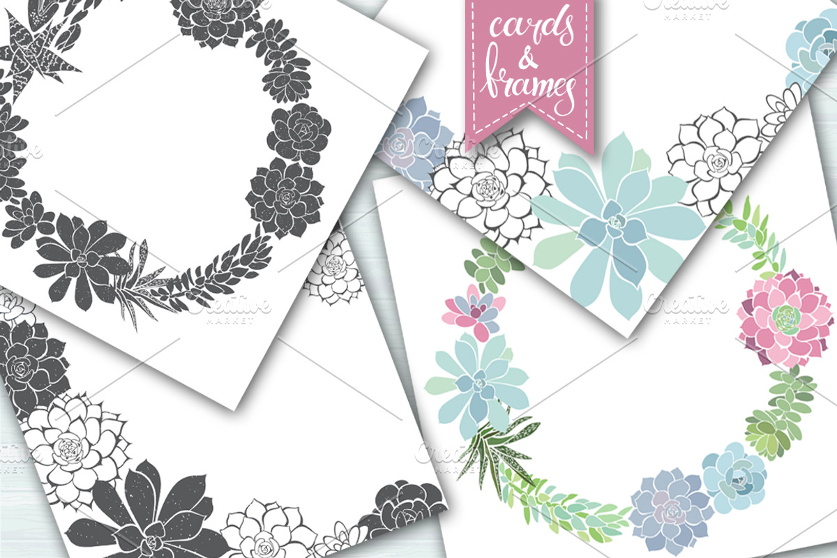 Succulents., an Illustration by maritime_m (Photo 6 of 8)