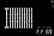 Patinas Pointed, a Serif Font by inumocca_type (Thumbnail 9 of 9)