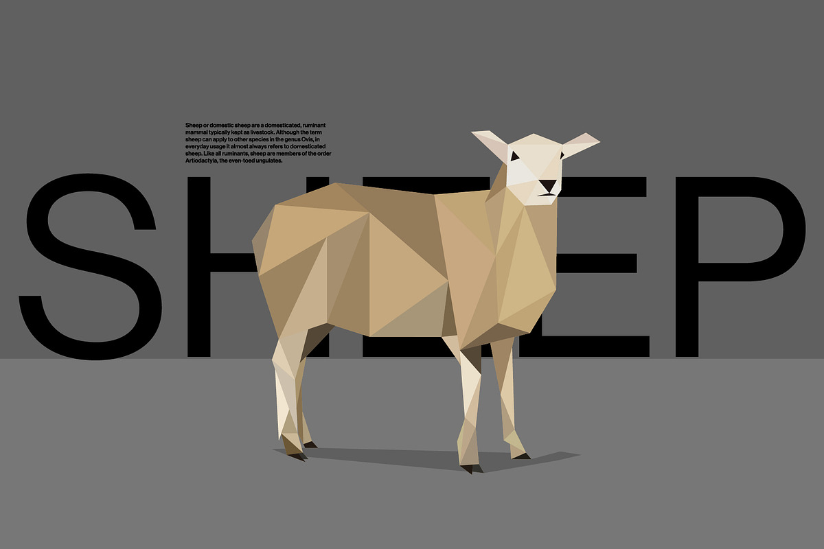 Farm Animals Pack in Low Poly Style, an Illustration by Volkan Aydemir (Photo 8 of 12)