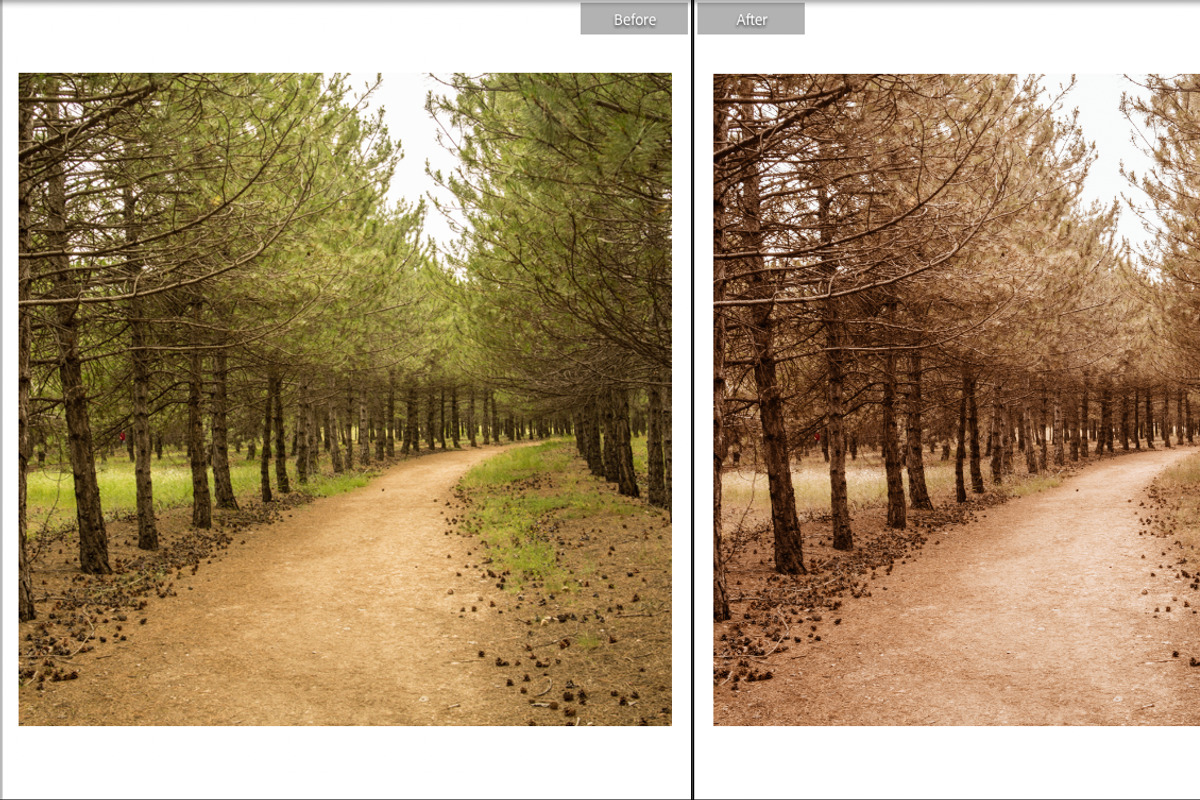 Signature Film Mobile Lr Preset, a Preset Add-On by Fltrr Lightroom Presets (Photo 7 of 20)