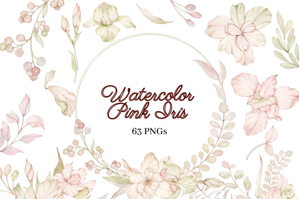 Watercolor Pink Iris Clipart, a Decorative Illustration by ArtbyHien (Photo 1 of 6)