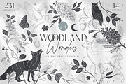 Woodland Wonders: 2 in 1 Graphic Set, a Decorative Illustration by rouxsupplyco (Thumbnail 1 of 32)