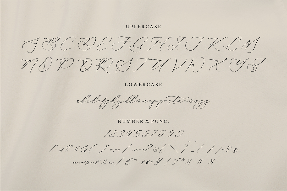 Gladioss Feather Luxury Script Font, a Script Font by Storytype Studio (Photo 13 of 15)