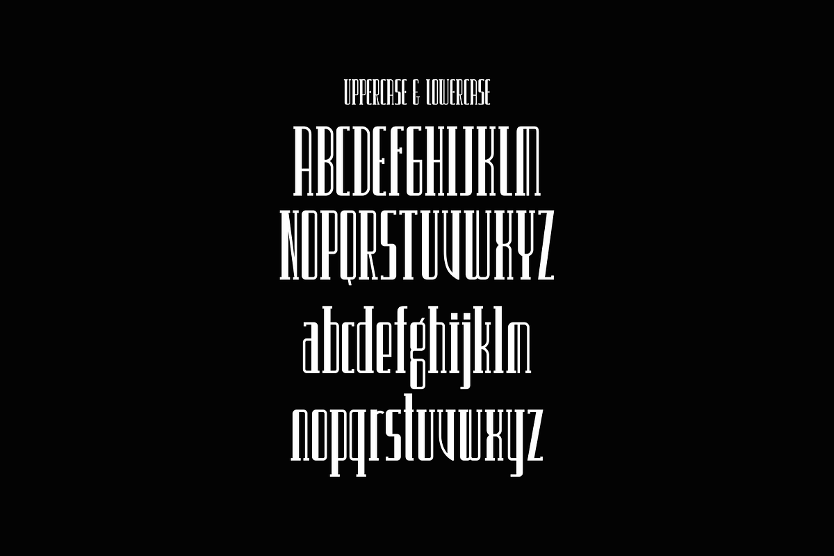 Vanrow, a Serif Font by lelevien (Photo 3 of 5)