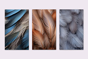 BACKGROUND BIRD VARIOUS FEATHERS, a Background Graphic by Sophico (Thumbnail 2 of 5)