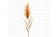 Mixed Bundle - Terracotta Flowers, a Decorative Illustration by Bloom Craft Creations (Thumbnail 8 of 20)