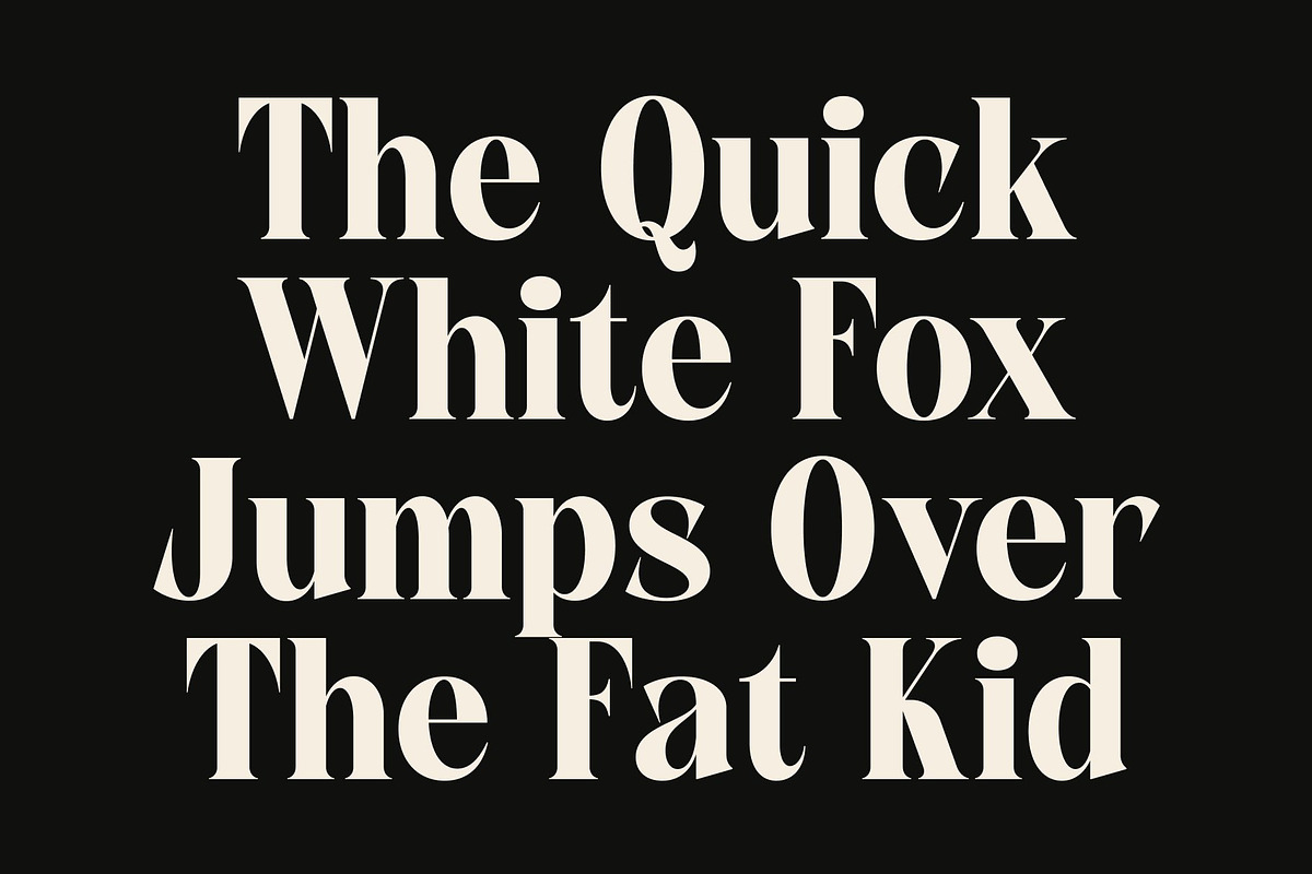 CS Anakin, a Serif Font by Craft Supply Co. (Photo 4 of 8)