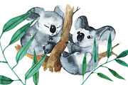 Australian Mainland-illustration set, an Animal Illustration by KatBranchArt (Thumbnail 4 of 5)
