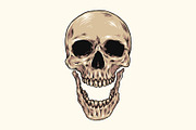 Skull Hand Drawn Illustration, an Object Illustration by zdson (Thumbnail 2 of 3)