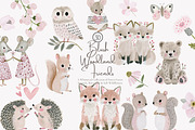 woodland animal clipart set, a Decorative Illustration by Patishop Art (Thumbnail 1 of 7)