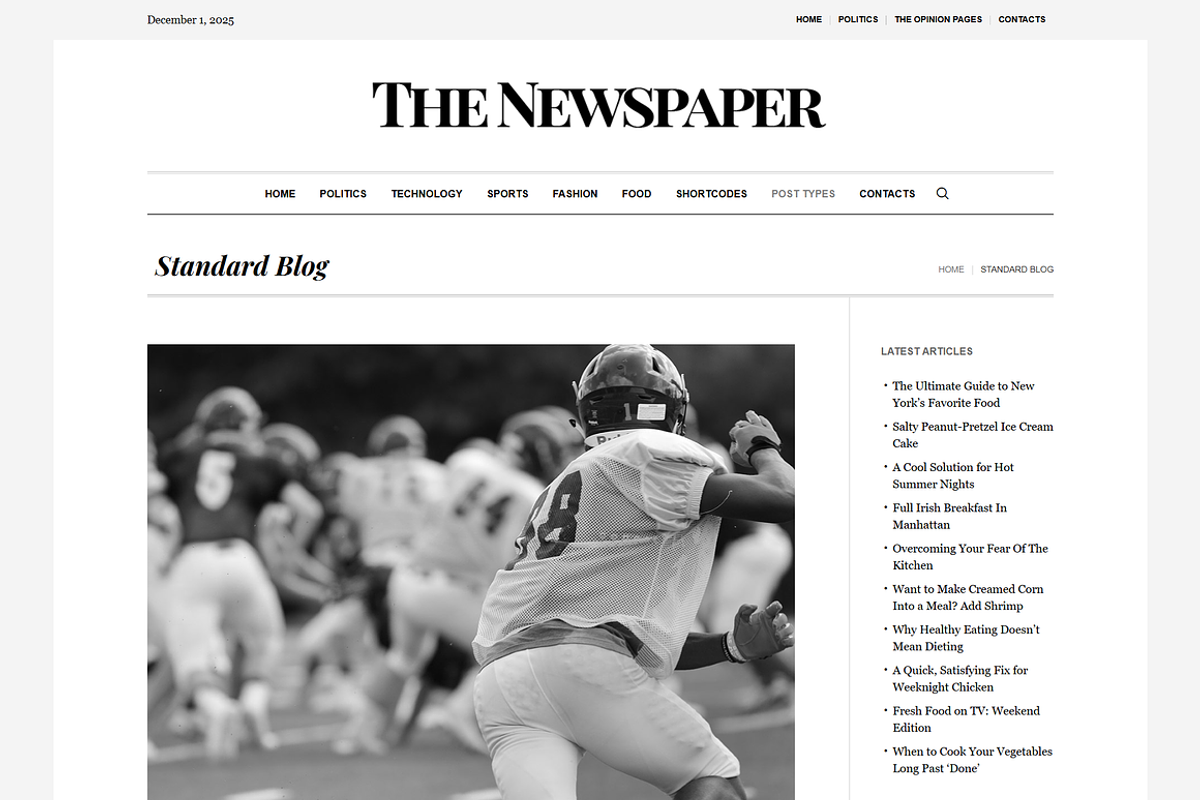 Magazine Editorial WordPress Theme, a WordPress Template by Elite Templates (Photo 8 of 10)