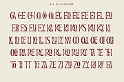 Channery - Modern Ligatures Font, a Serif Font by Say Studio (Thumbnail 11 of 13)