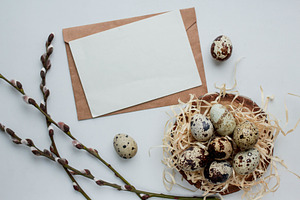 Invitation with quail eggs containing animal, background, and bird